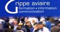 Grippe aviaire. Formation - information communication. Fiche ... Image 1